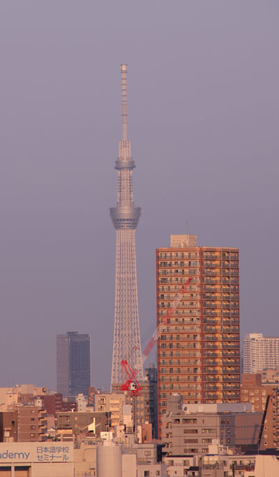 夕方スカイツリー 12か月 写真を楽しむ