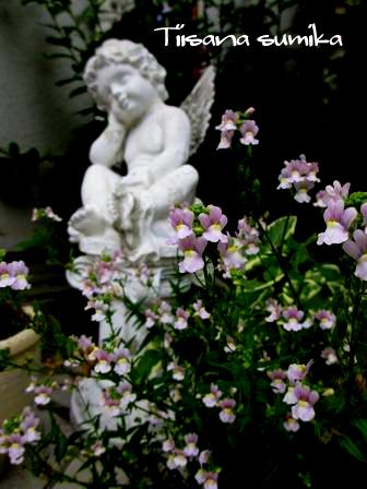 a0243064_0223221.jpg