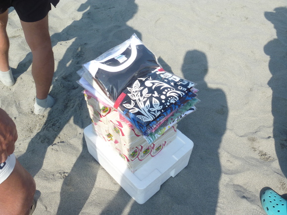 【FUSION WAY 2012】 BeachFootball Vol.13　東海大会　２日目_b0164568_7423218.jpg