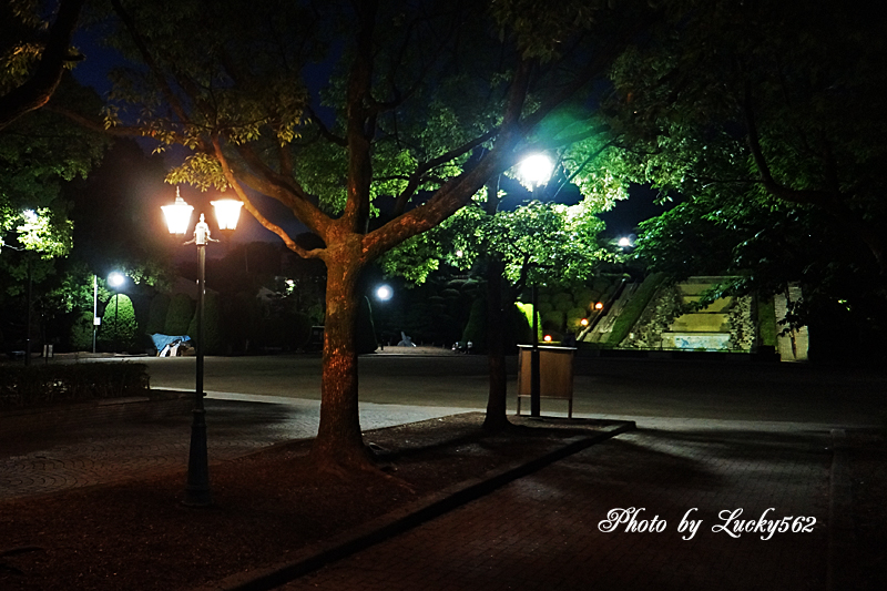 夜のお散歩写真_e0002371_1404540.jpg