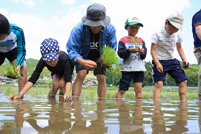 FANs２回目「田植えホタルナイト」_f0167672_14375947.jpg