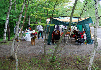 b0091373_2112439.jpg