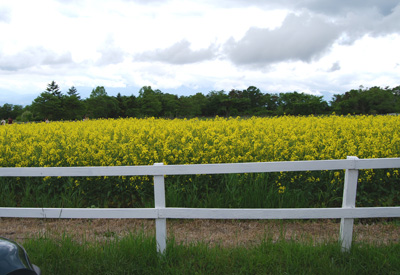 b0091373_2131114.jpg