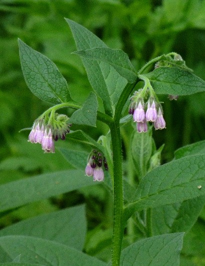 d0084473_20522381.jpg
