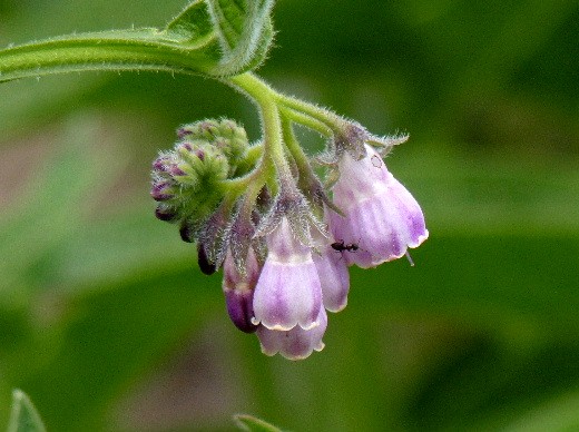d0084473_2052625.jpg