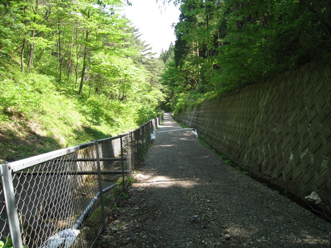 a0087378_427224.jpg