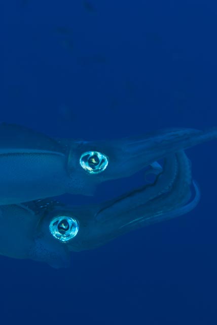 e0064291_7174740.jpg