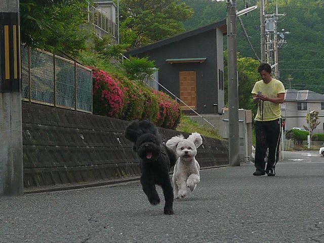 b0190092_23193556.jpg