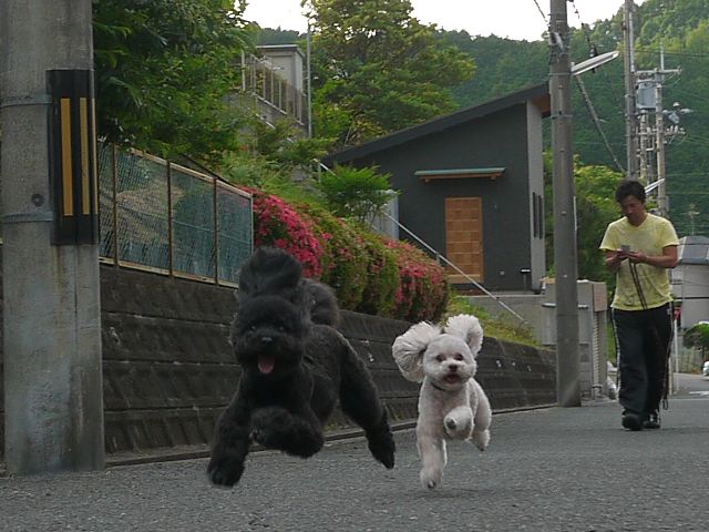 b0190092_23194883.jpg