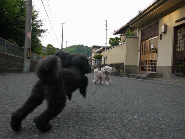 b0190092_2320451.jpg