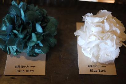 めっちゃきれい~!_f0226293_2331955.jpg