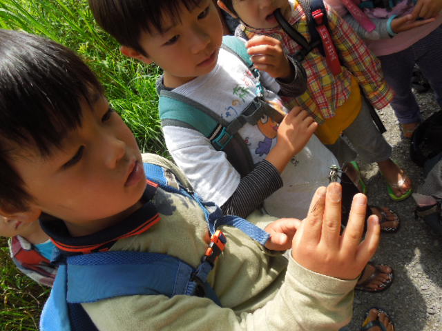 d0227298_20421321.jpg