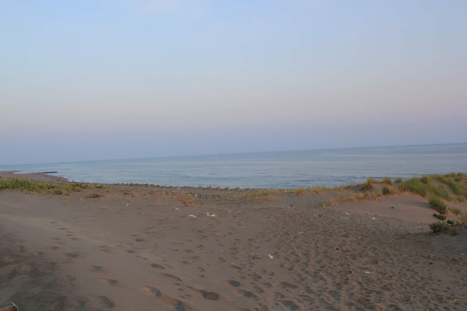 a0264604_762220.jpg