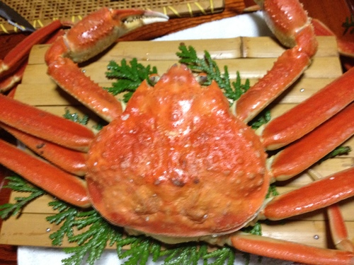 花咲ガニ_a0194908_092880.jpg