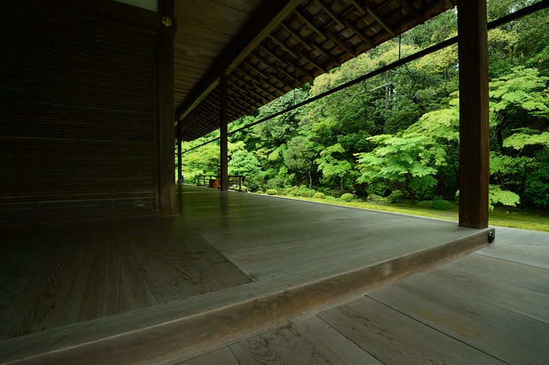 青葉巡り・南禅寺塔頭 南禅院_f0032011_19494781.jpg
