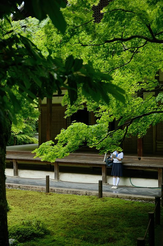 青葉巡り・南禅寺塔頭 南禅院_f0032011_19495927.jpg