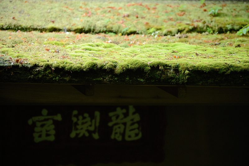 青葉巡り・南禅寺塔頭 南禅院_f0032011_19514587.jpg