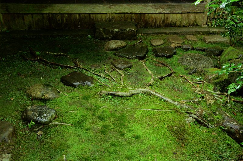 青葉巡り・南禅寺塔頭 南禅院_f0032011_19521959.jpg