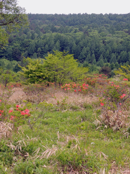 f0235311_23113564.jpg