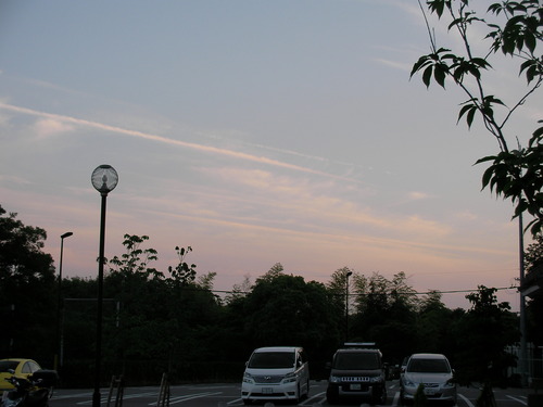 a0059812_1101727.jpg