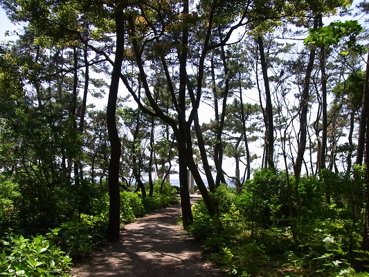 c0192215_9462062.jpg