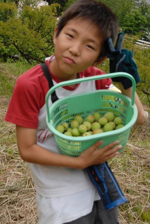 キッズレンジャーINぶどうの樹 大自然塾6月_f0224320_12115411.jpg