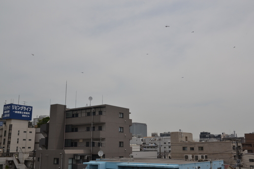 上空ヘリだらけ_d0100125_105215100.jpg