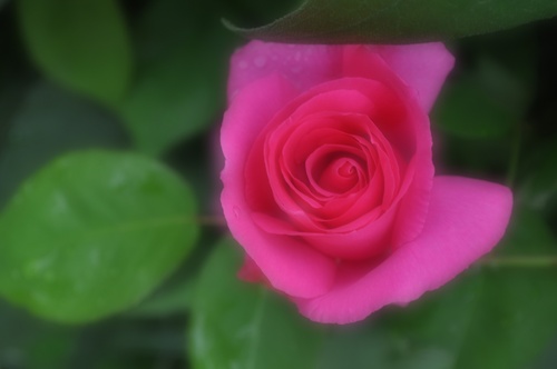 a0248728_122280.jpg