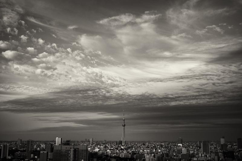 c0216331_6383346.jpg