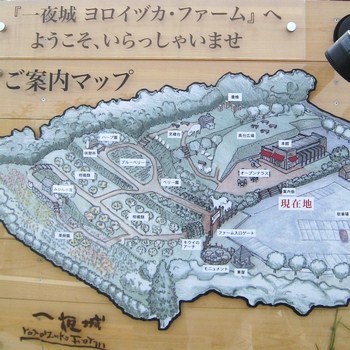 c0134734_2122288.jpg