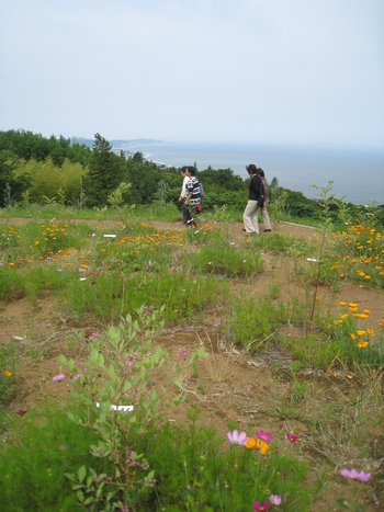 c0134734_22341193.jpg