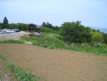 c0134734_22394519.jpg