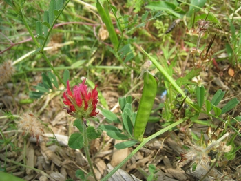 c0134734_2323994.jpg