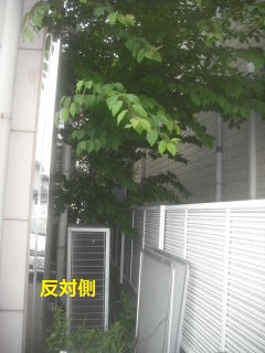 浴室リフォームの片づけと物置設置とお見積もり・・・_f0031037_18515794.jpg