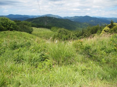c0119142_5361877.jpg