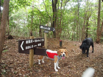 c0119142_6163876.jpg