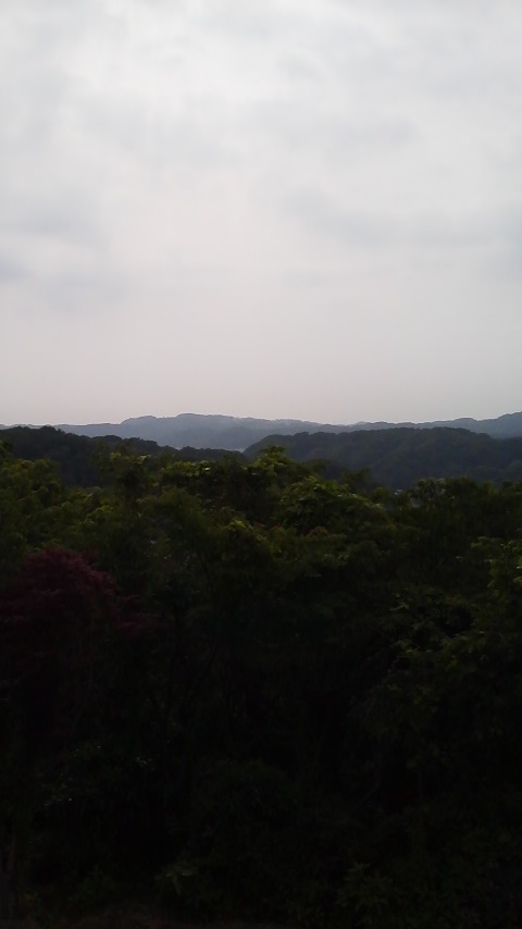 現場から_f0045052_1542492.jpg