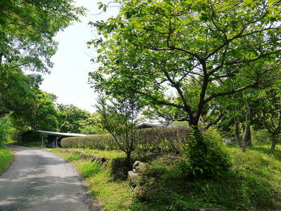 FLC日記 梅雨の晴れ間_a0254656_15173180.jpg