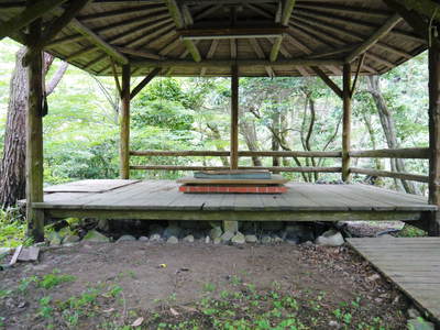 FLC日記 梅雨の晴れ間_a0254656_1581918.jpg