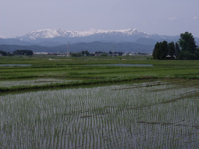 飯豊山が11センチ高く_b0092858_20271434.jpg