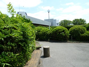 d0082763_14402941.jpg