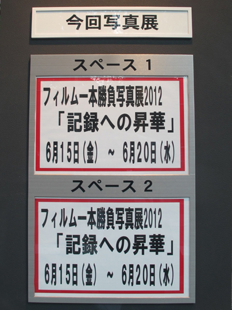 6月15日　今日の１枚_d0255874_2333146.jpg