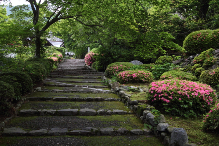 善峯寺_e0051888_540135.jpg