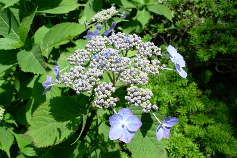 a0127090_23274562.jpg