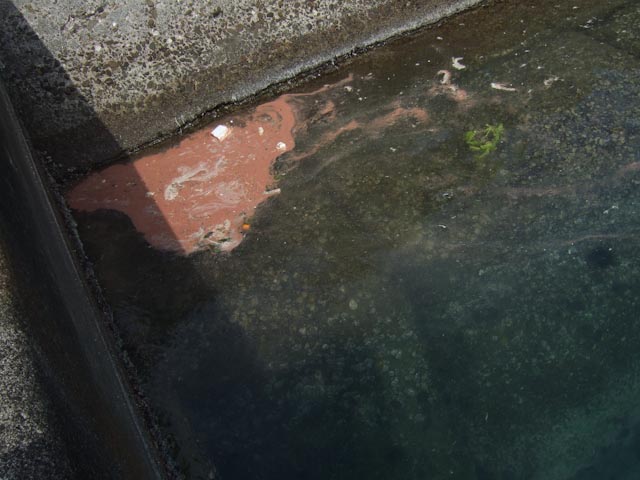 e0064291_48186.jpg