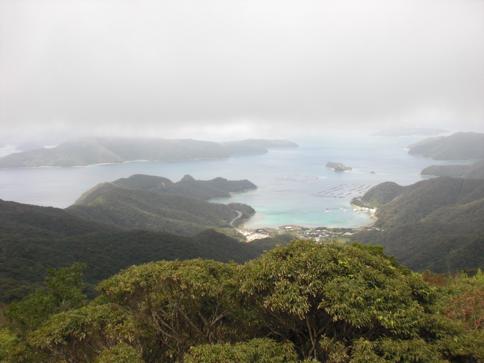 f0166694_19563513.jpg