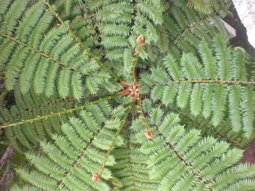 f0166694_2054394.jpg