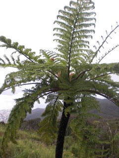 f0166694_22485493.jpg