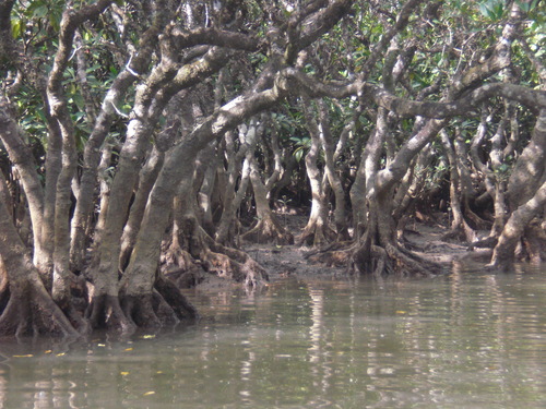 f0166694_22553349.jpg