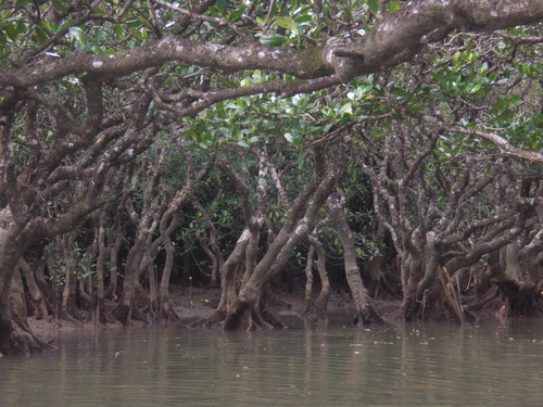 f0166694_2354017.jpg